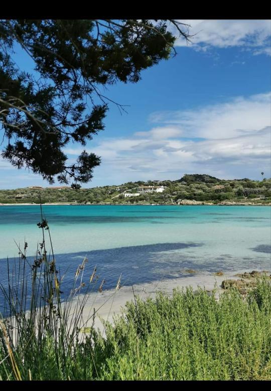 B&B Marina Olbia Bagian luar foto