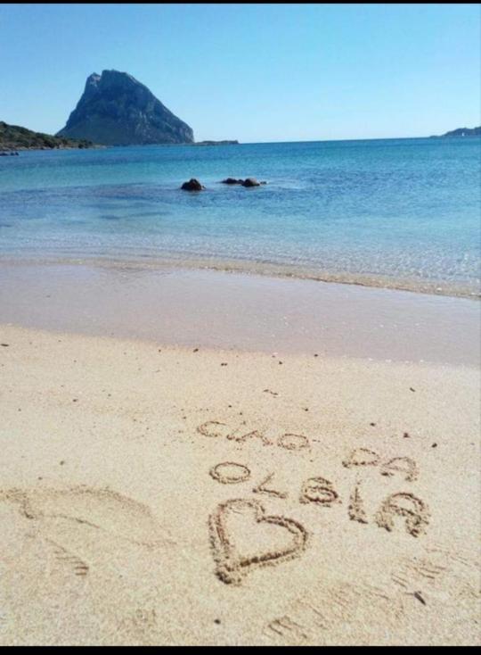 B&B Marina Olbia Bagian luar foto